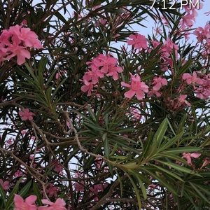 Meet your Posher, Bre